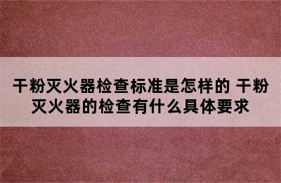 干粉灭火器检查标准是怎样的 干粉灭火器的检查有什么具体要求